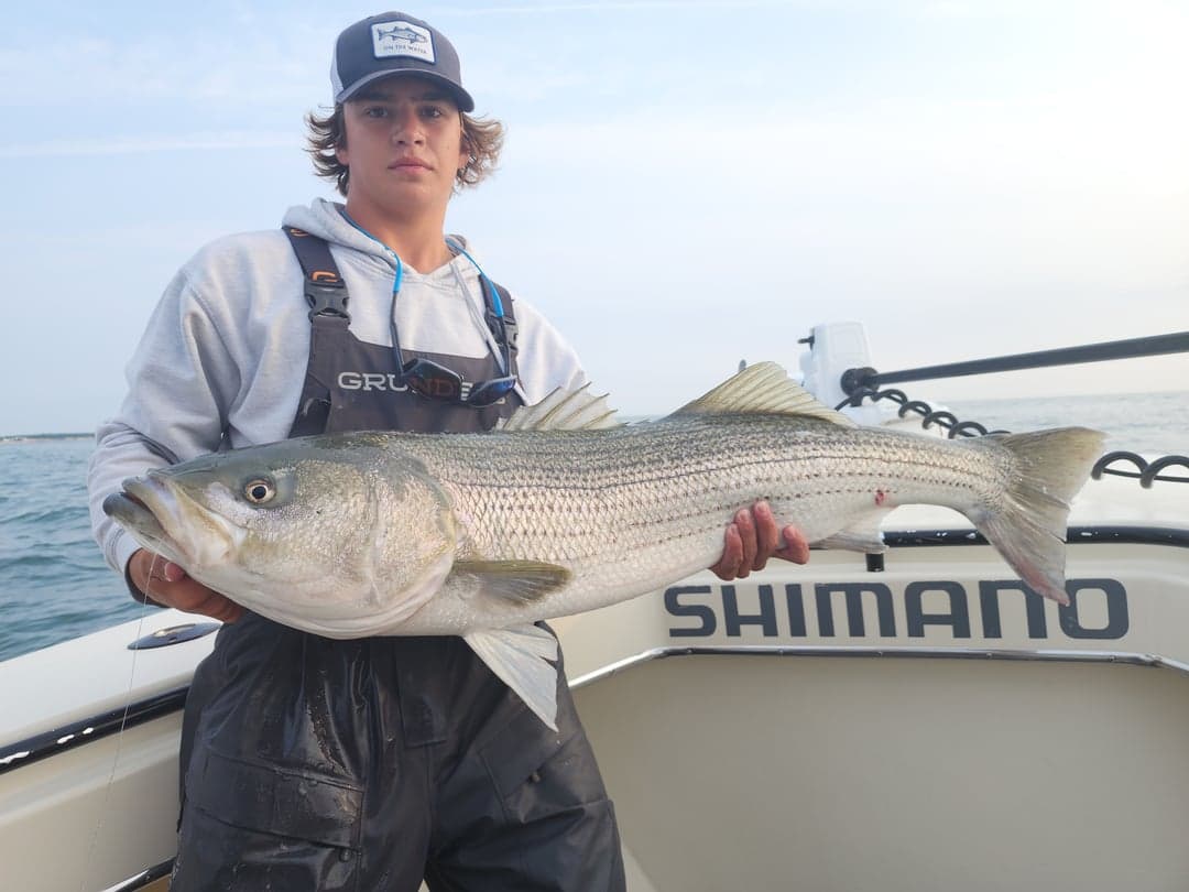Striped Bass caught by Get Tight Sport Fishing Captain Brian Coombs, August 2025