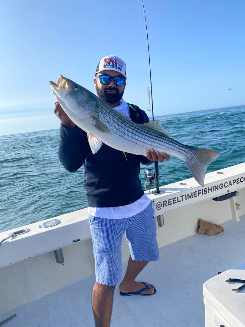 Striped Bass caught by Reel time fishing cape cod, August 2025