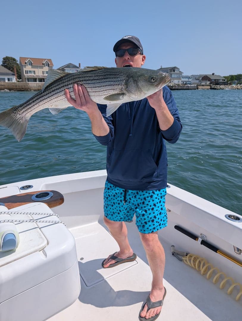 Striped Bass caught by Daniel Hermann, August 2025