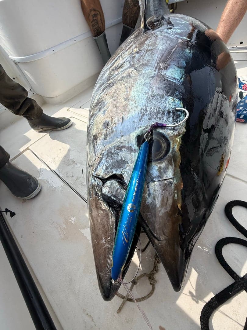 Atlantic Bluefin Tuna caught by Chris Blake, August 2025