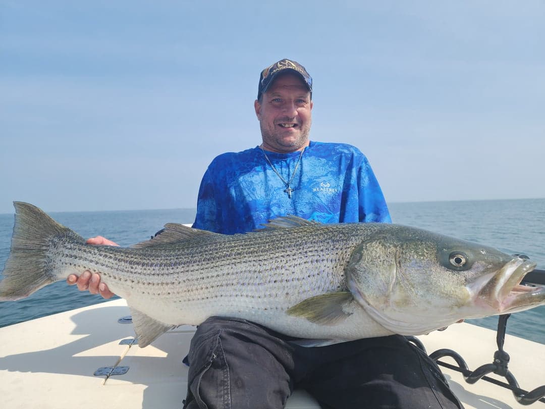 Striped Bass caught by Get Tight Sport Fishing Captain Brian Coombs, August 2025