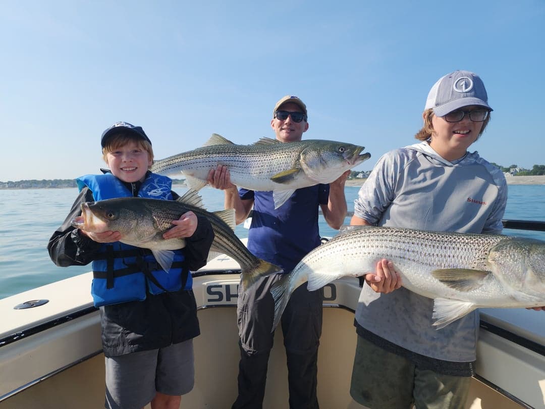 Striped Bass caught by Get Tight Sport Fishing Captain Brian Coombs, August 2025