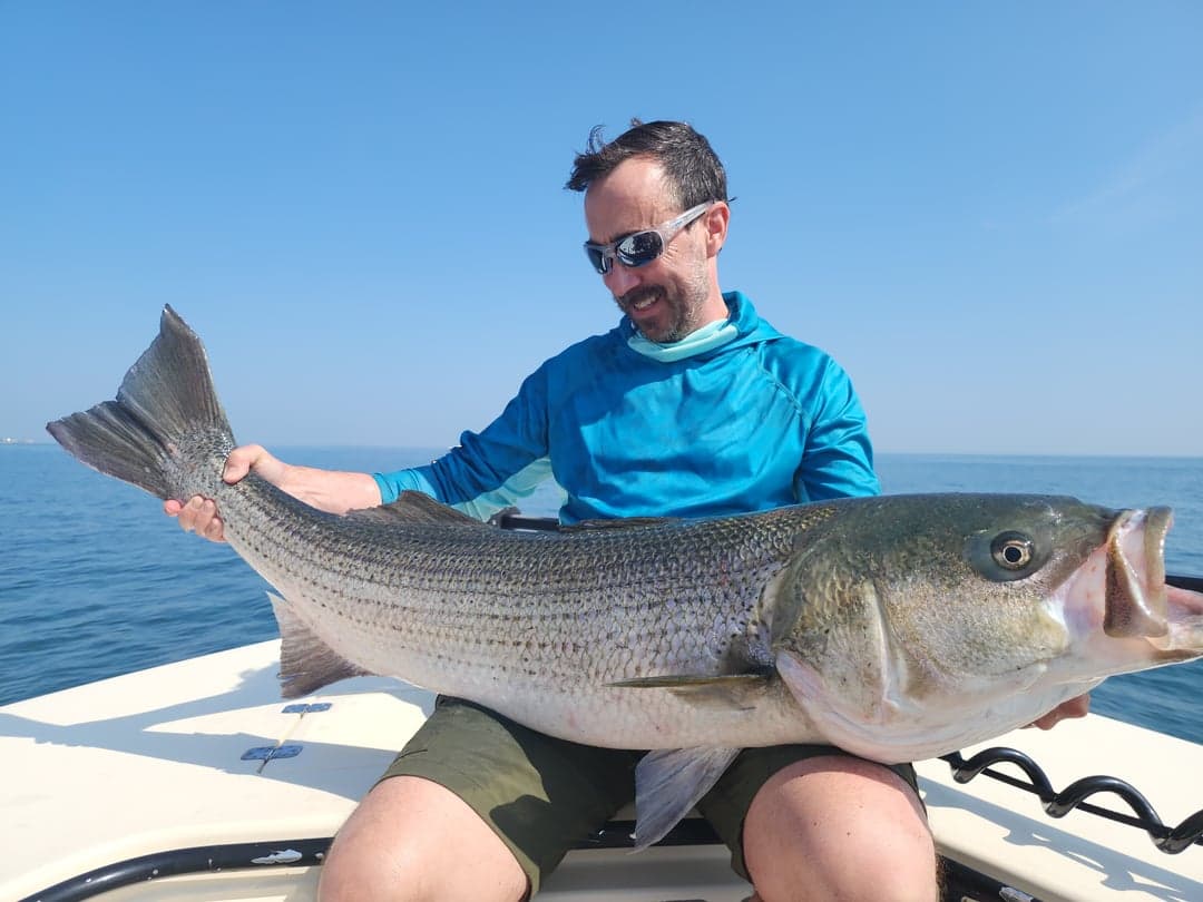 Striped Bass caught by Get Tight Sport Fishing Captain Brian Coombs, August 2025