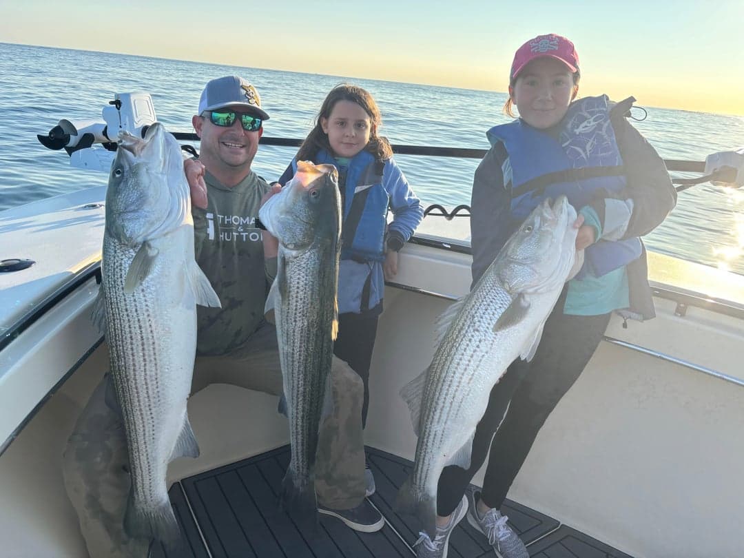 Striped Bass caught by Get Tight Sport Fishing Captain Brian Coombs, August 2025