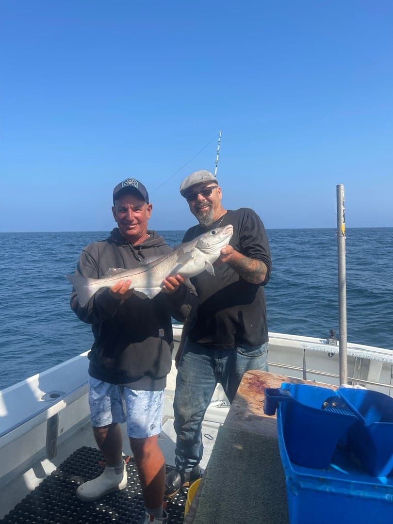 Haddock caught by Dave Marciano, August 2025