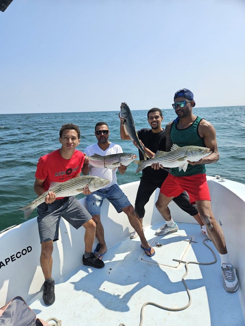 Striped Bass caught by Reel time fishing cape cod, August 2025