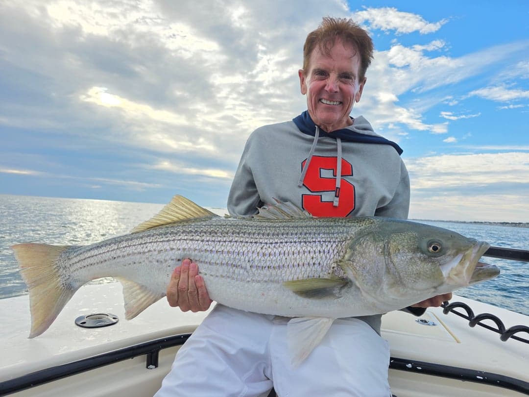 Striped Bass caught by Get Tight Sport Fishing Captain Brian Coombs, August 2025