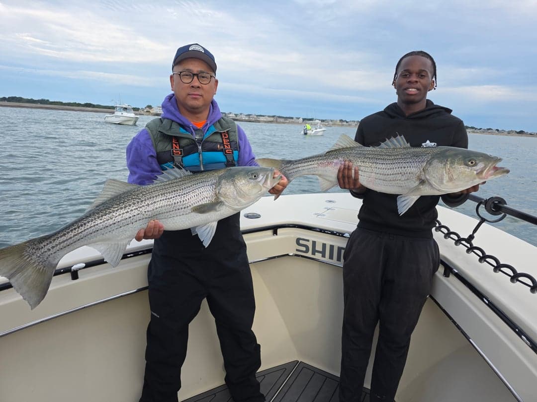 Striped Bass caught by Get Tight Sport Fishing Captain Brian Coombs, August 2025