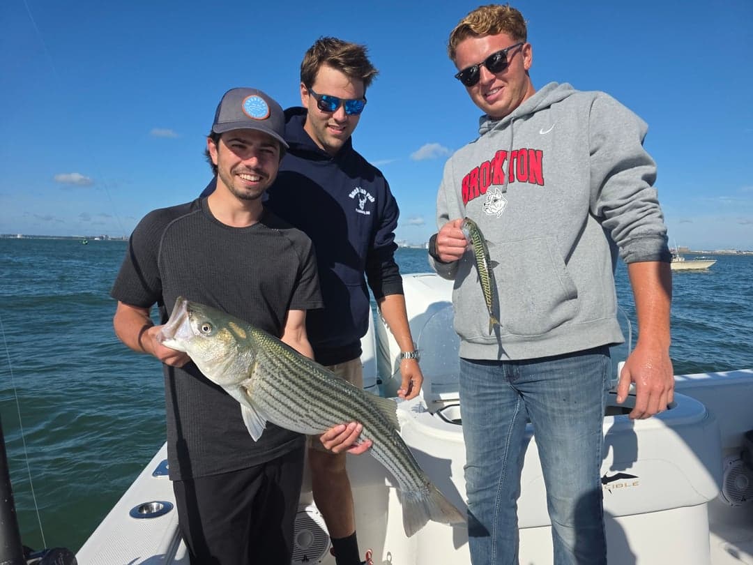 Striped Bass caught by Get Tight Sport Fishing Captain Brian Coombs, August 2025