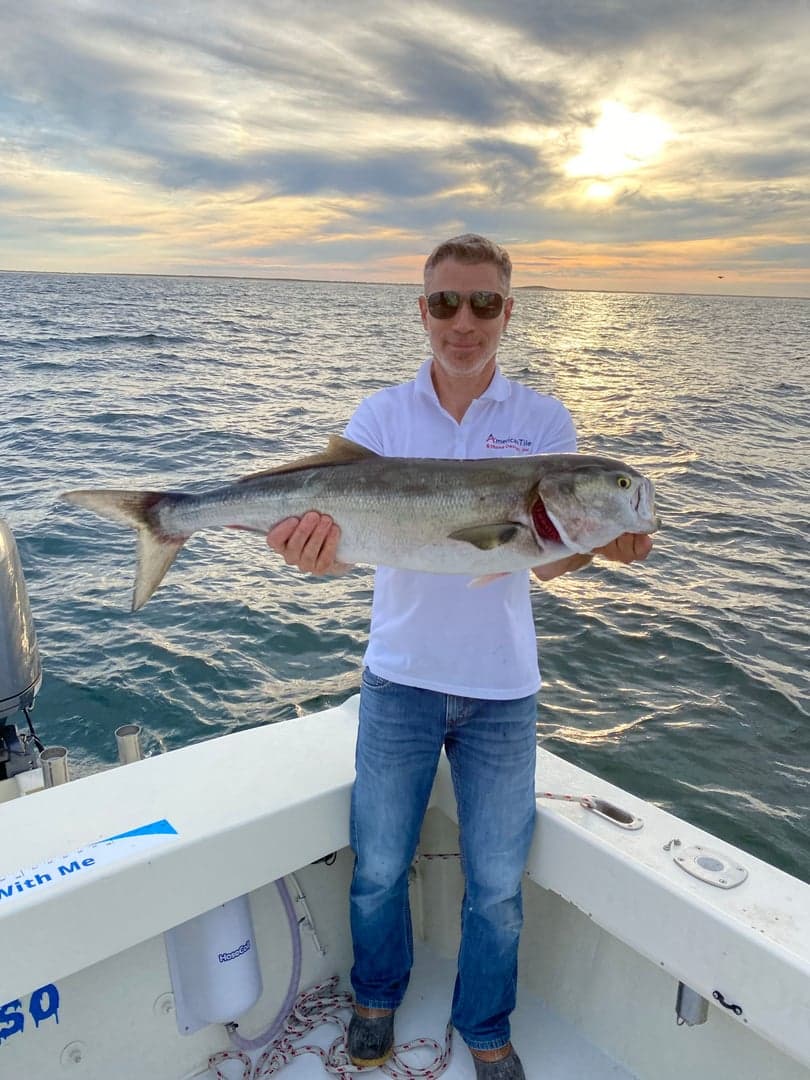 Bluefish caught by Reel time fishing cape cod, August 2025
