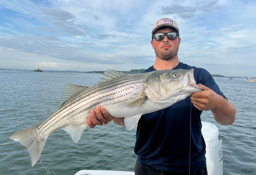Striped Bass caught by Johnny Walker, August 2025