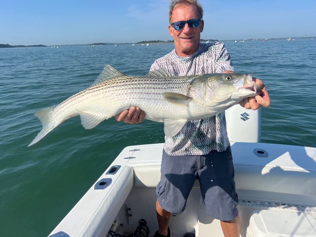 Striped Bass caught by Johnny Walker, August 2025