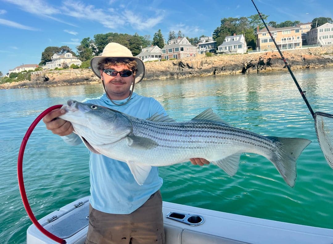 Striped Bass caught by Johnny Walker, July 2025