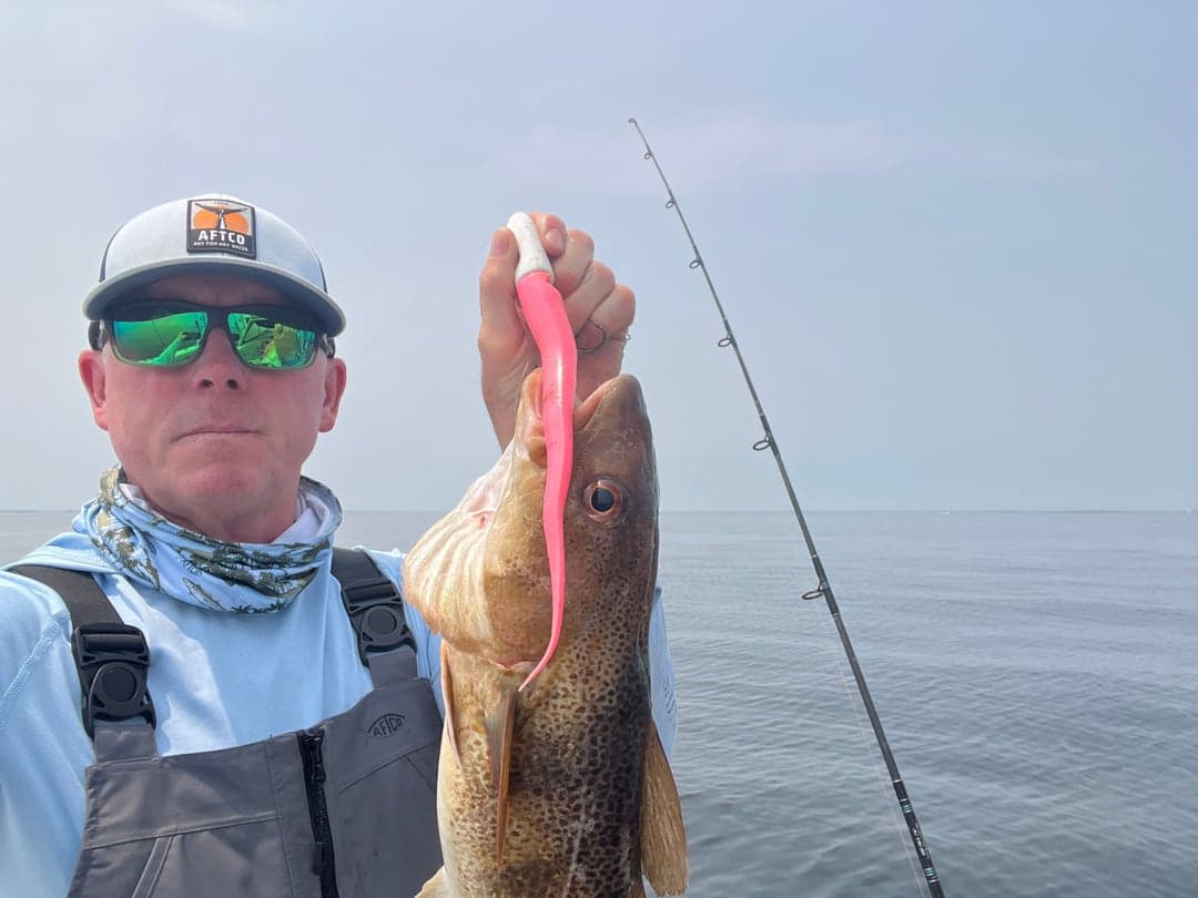 Cod caught by Johnny Walker, July 2025