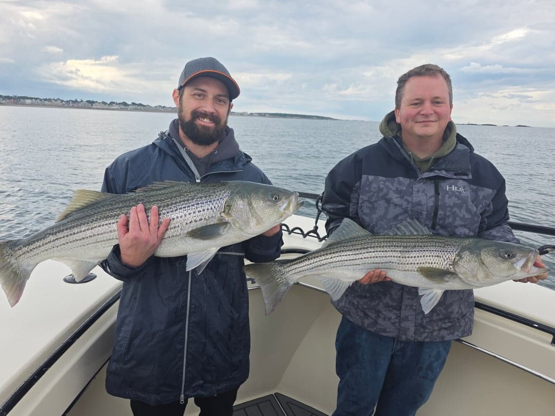 Striped Bass caught by Get Tight Sport Fishing Captain Brian Coombs, August 2025