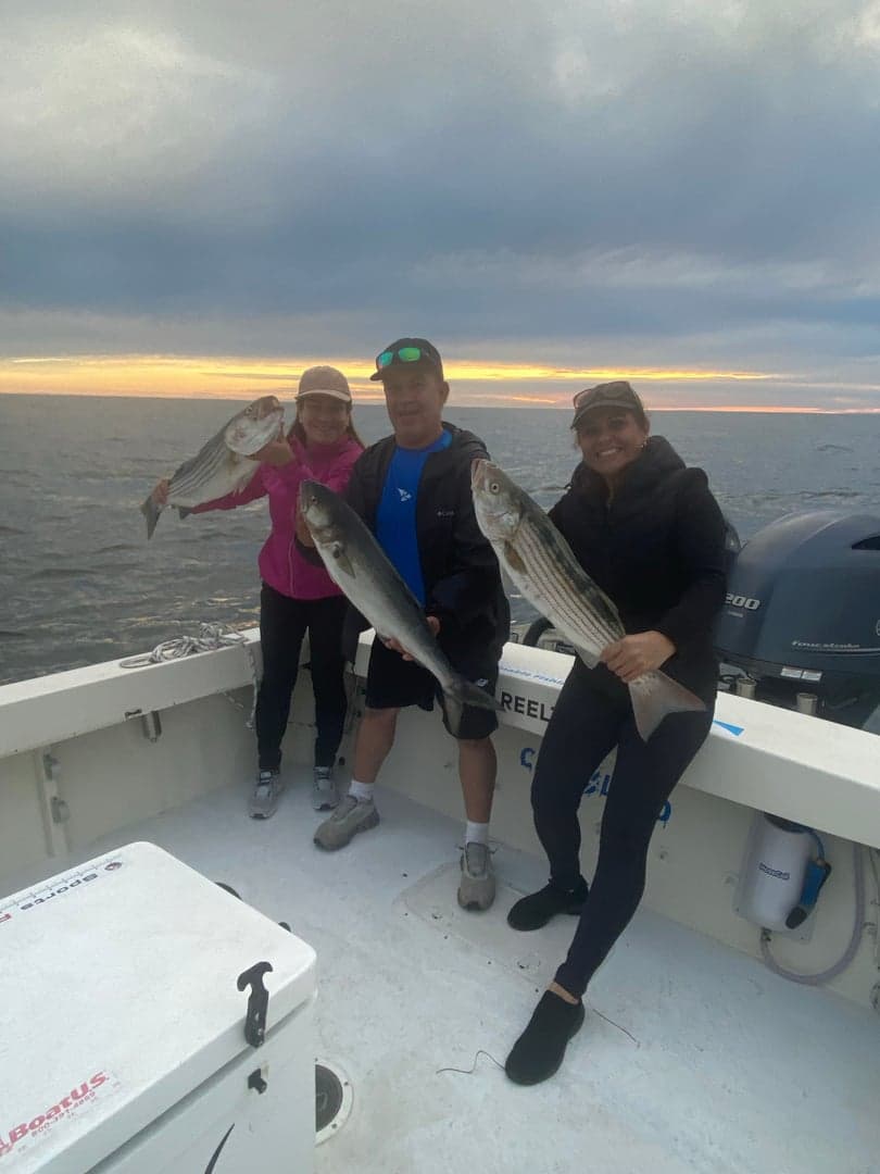 Striped Bass caught by Reel time fishing cape cod, September 2025