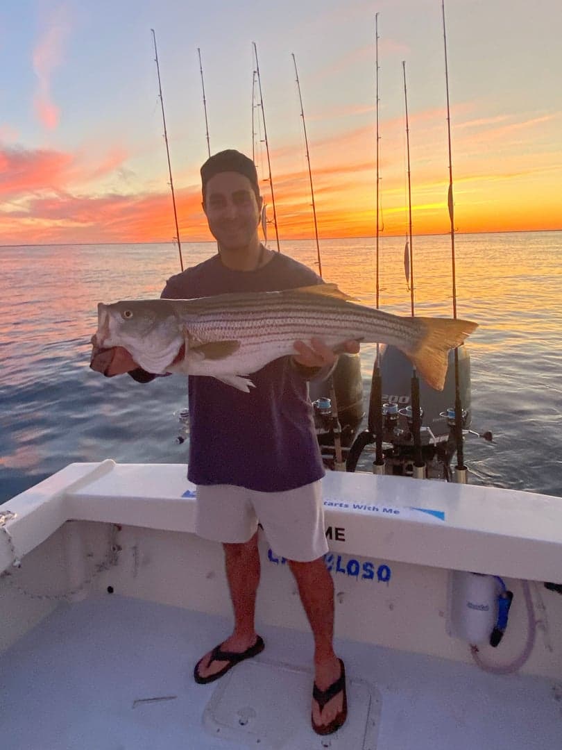 Striped Bass caught by Reel time fishing cape cod, September 2025