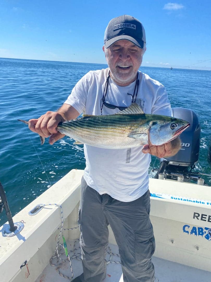 False Albacore caught by Reel time fishing cape cod, September 2025