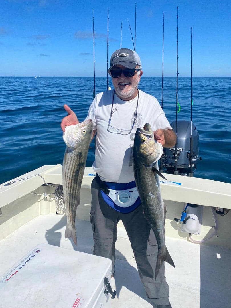 Bluefish caught by Reel time fishing cape cod, September 2025