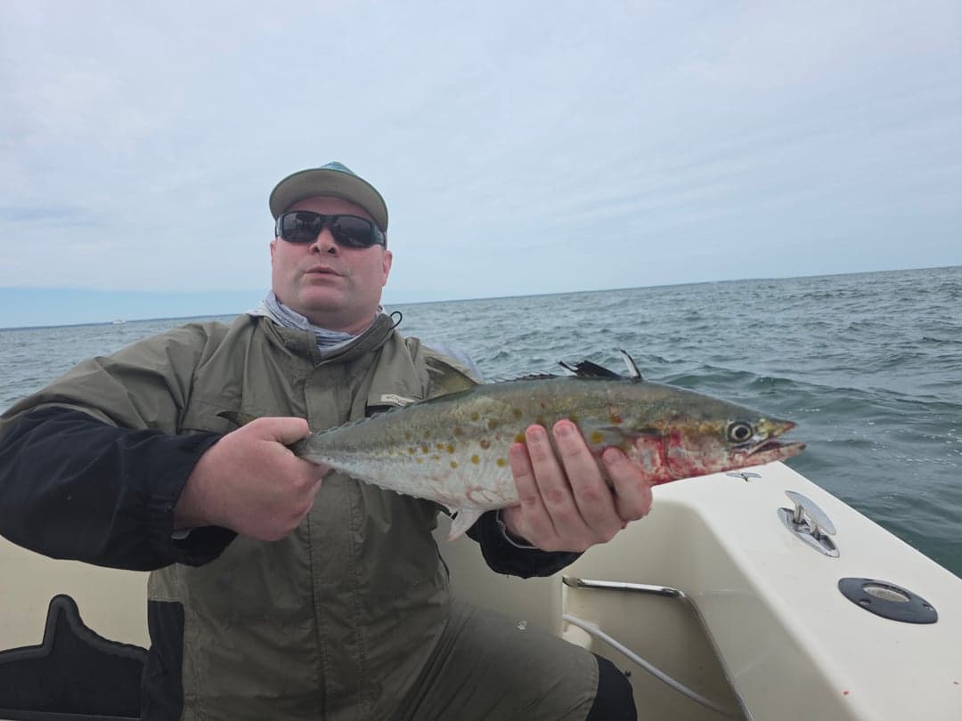 Spanish Mackerel caught by Get Tight Sport Fishing Captain Brian Coombs, September 2025