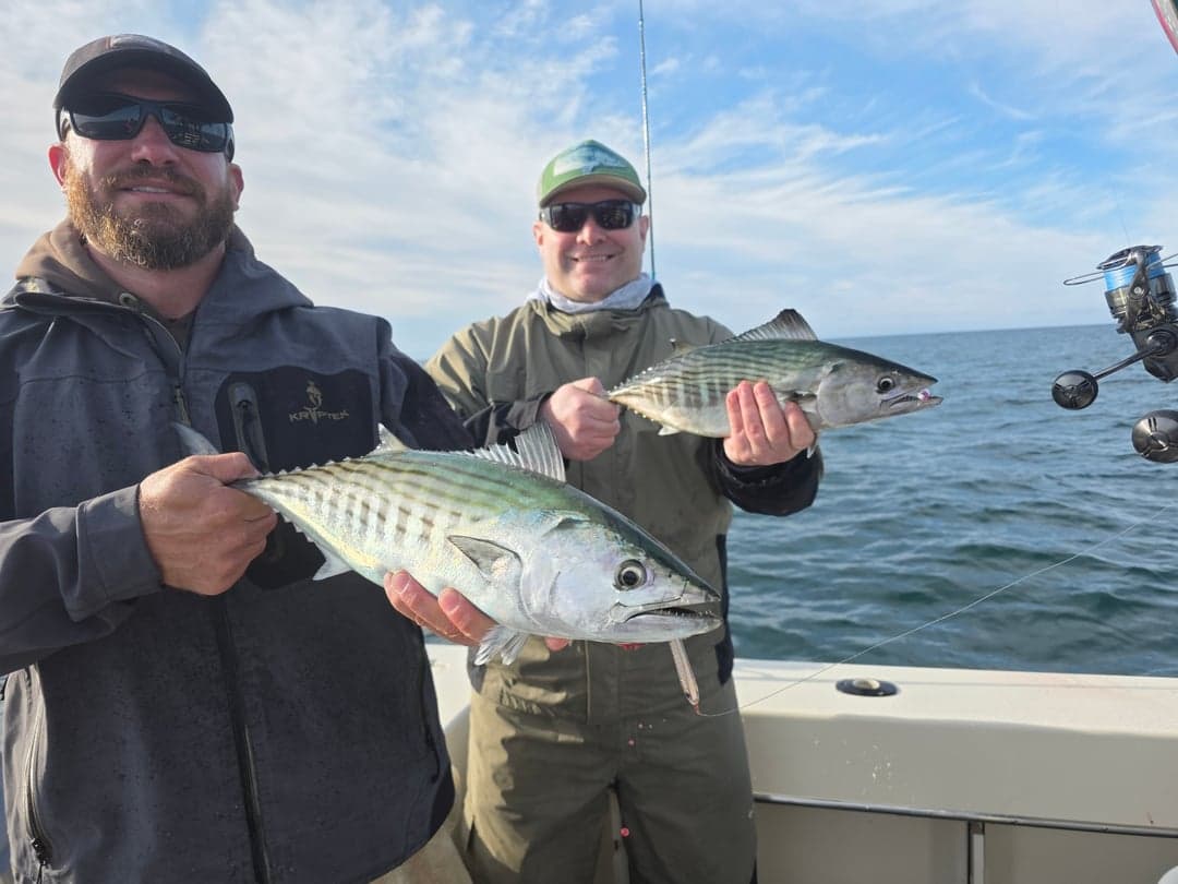 Atlantic Bonito caught by Get Tight Sport Fishing Captain Brian Coombs, September 2025