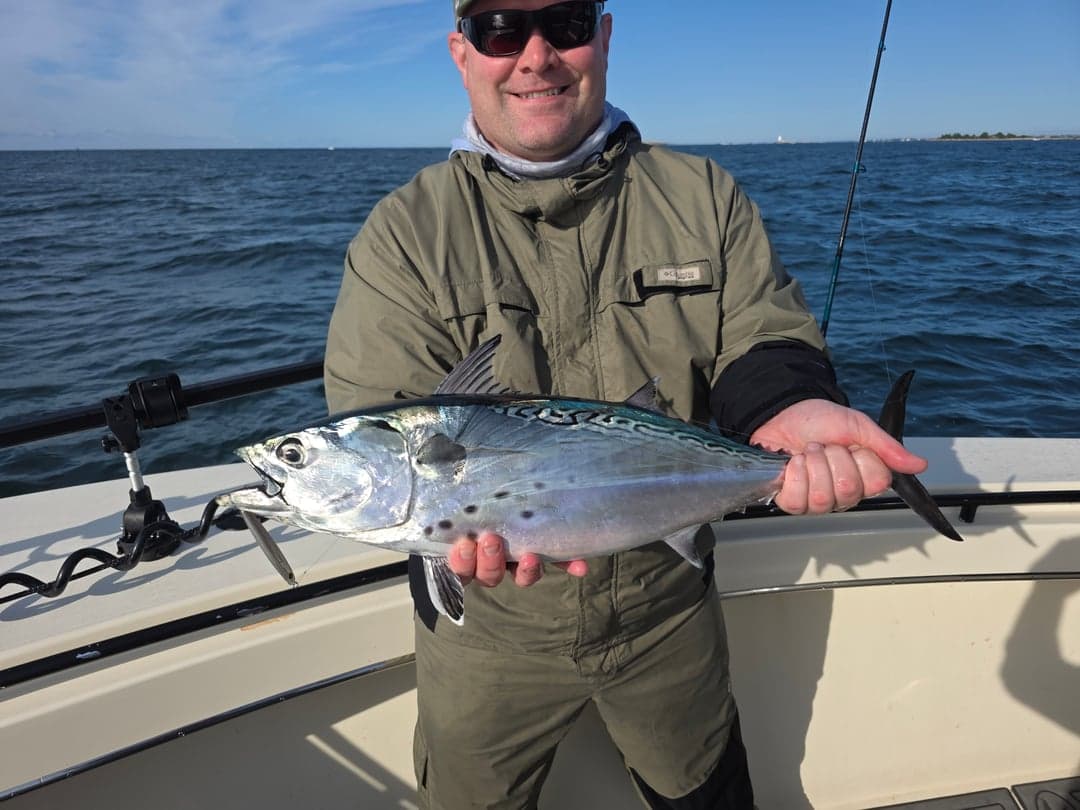 False Albacore caught by Get Tight Sport Fishing Captain Brian Coombs, September 2025