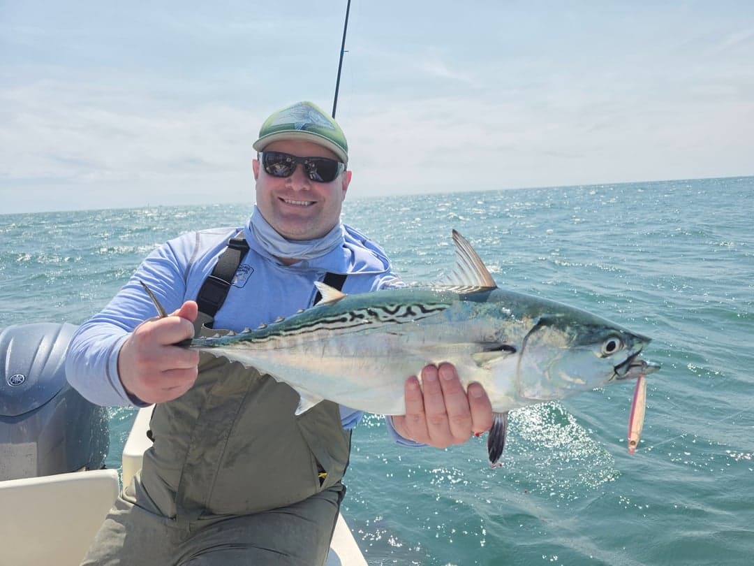 False Albacore caught by Get Tight Sport Fishing Captain Brian Coombs, September 2025