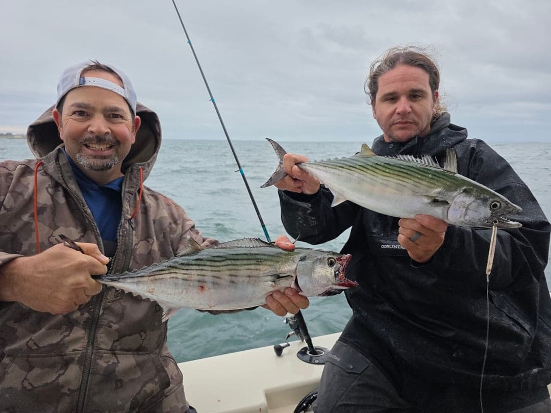 Atlantic Bonito caught by Get Tight Sport Fishing Captain Brian Coombs, September 2025