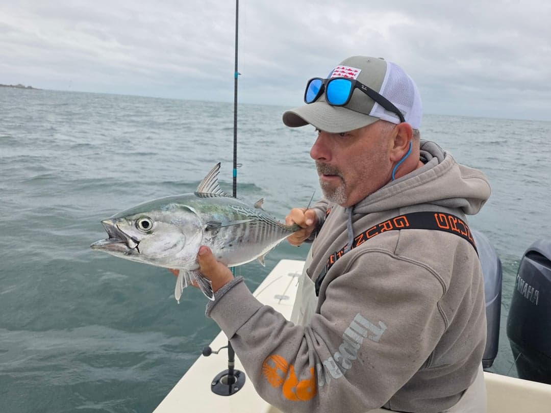 False Albacore caught by Get Tight Sport Fishing Captain Brian Coombs, September 2025