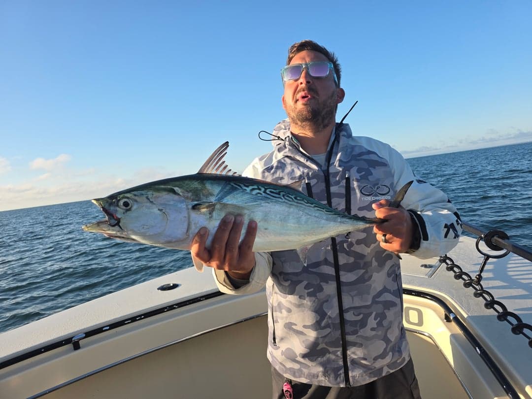 False Albacore caught by Get Tight Sport Fishing Captain Brian Coombs, September 2025
