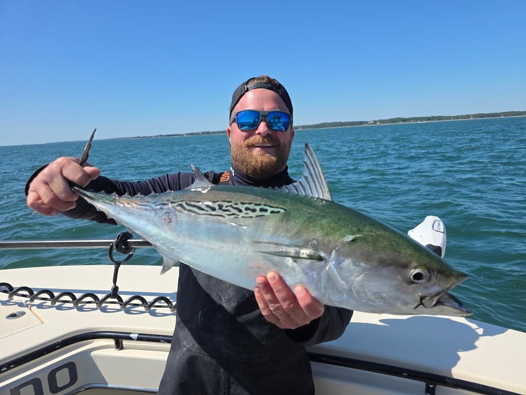 False Albacore caught by Get Tight Sport Fishing Captain Brian Coombs, September 2025