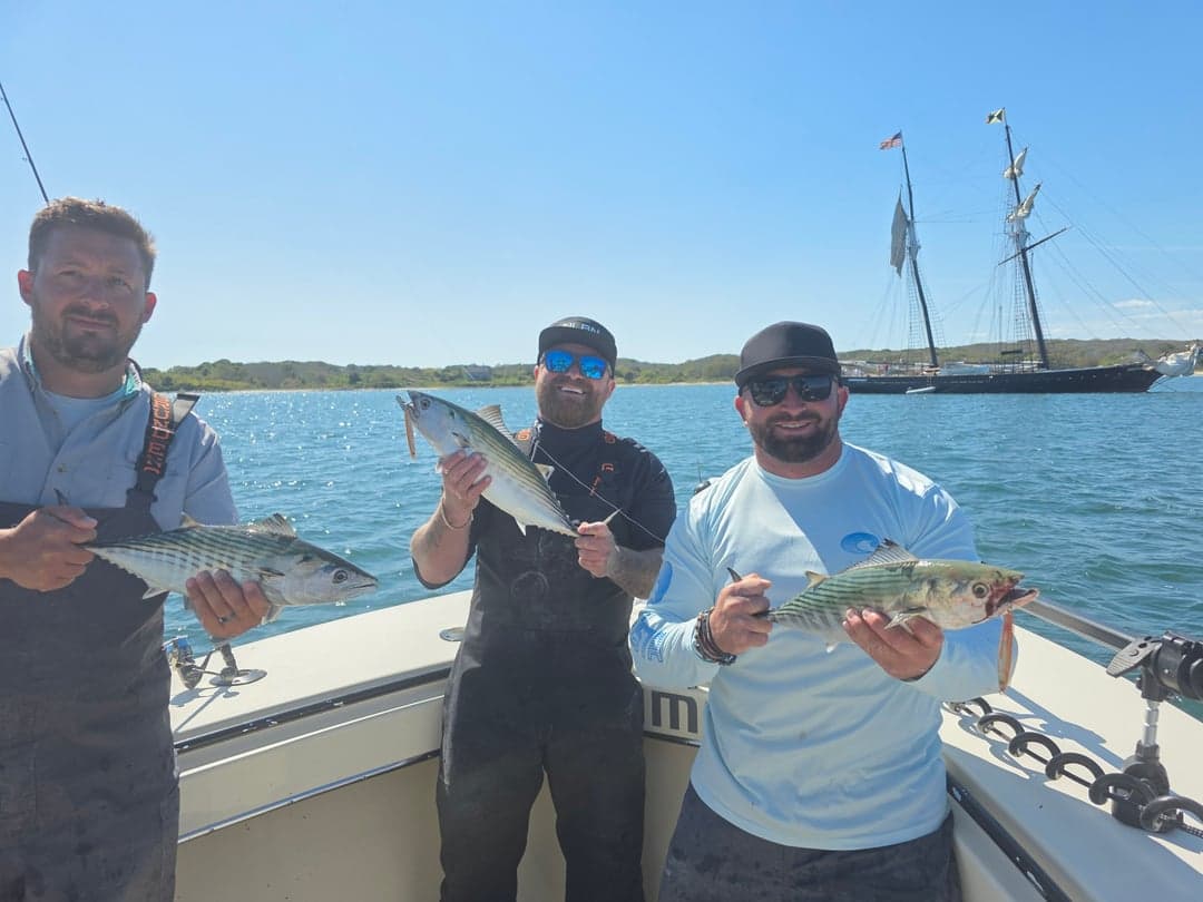 Atlantic Bonito caught by Get Tight Sport Fishing Captain Brian Coombs, September 2025