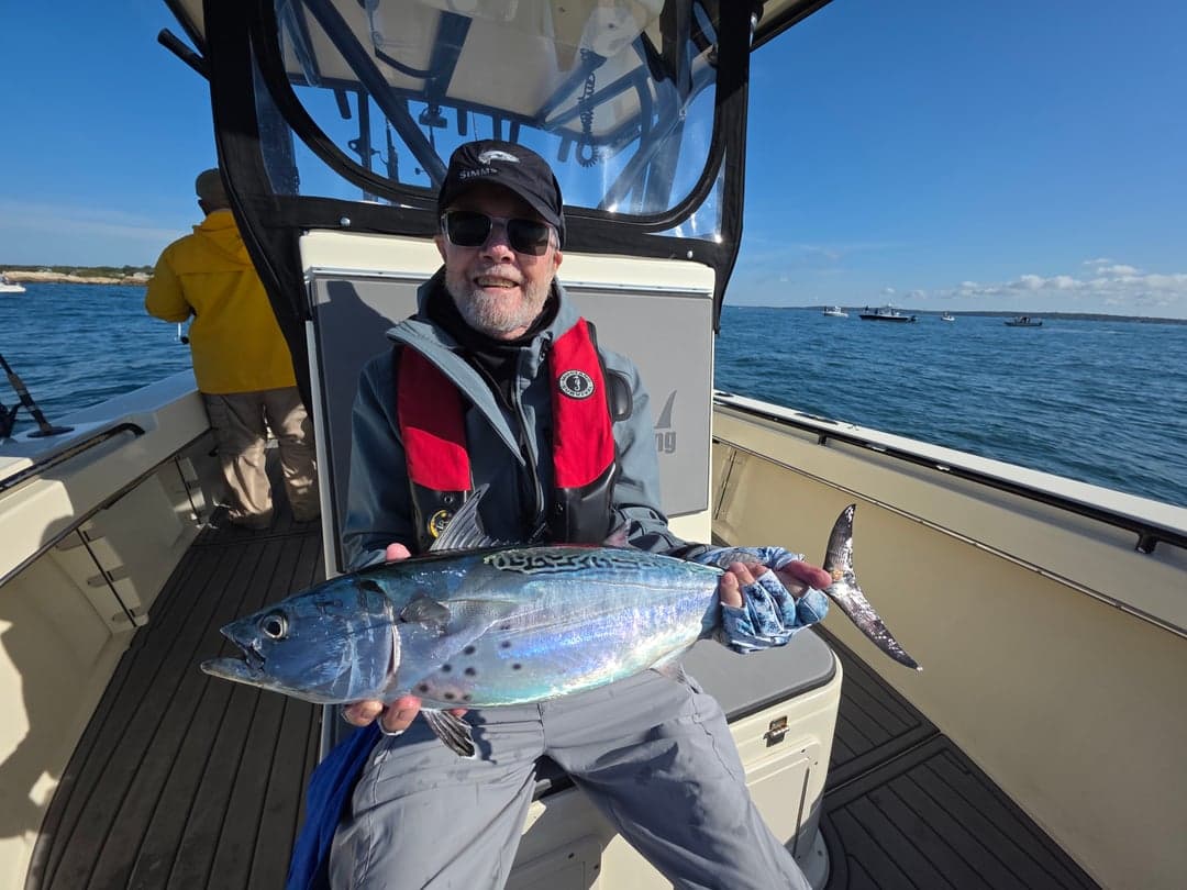 False Albacore caught by Get Tight Sport Fishing Captain Brian Coombs, September 2025