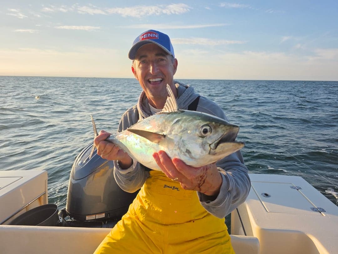 False Albacore caught by Get Tight Sport Fishing Captain Brian Coombs, September 2025