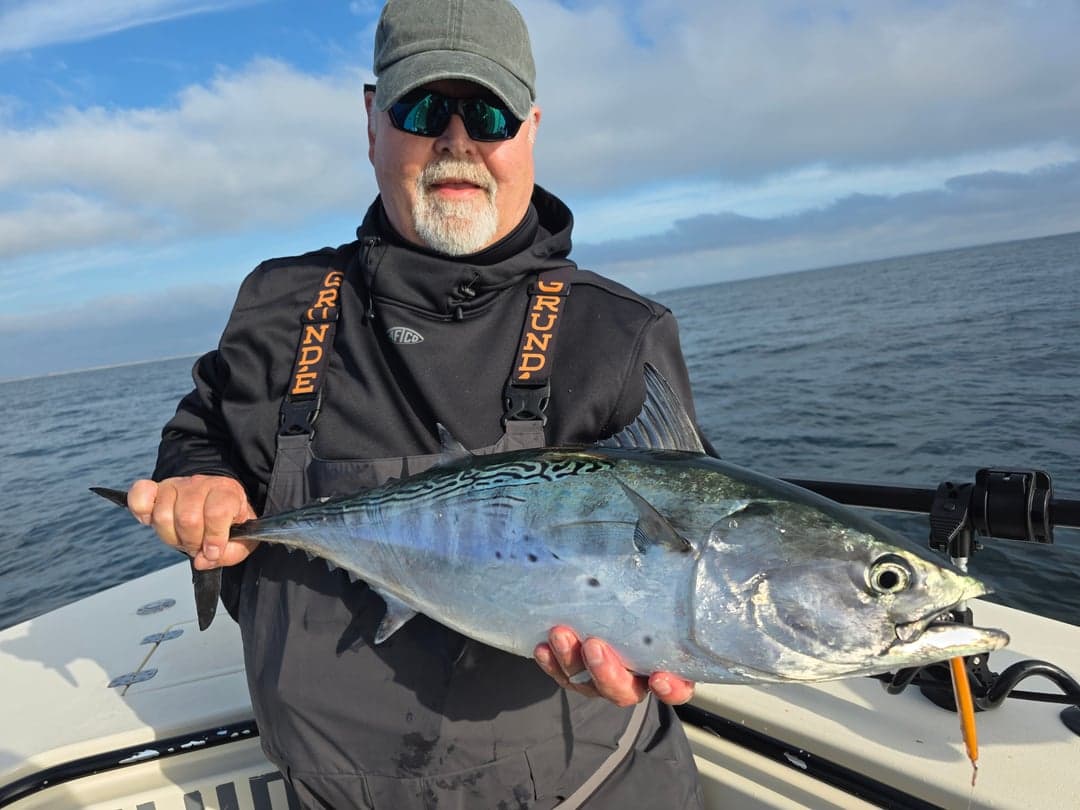 False Albacore caught by Get Tight Sport Fishing Captain Brian Coombs, September 2025