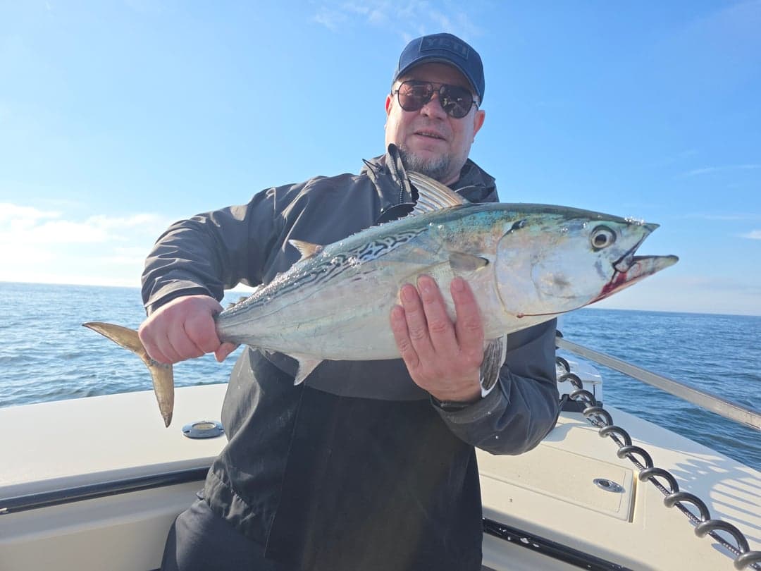 False Albacore caught by Get Tight Sport Fishing Captain Brian Coombs, September 2025
