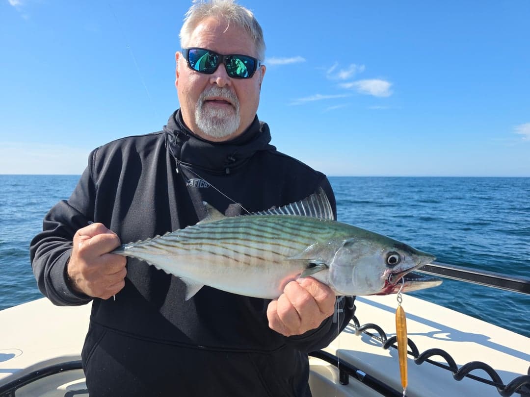 Atlantic Bonito caught by Get Tight Sport Fishing Captain Brian Coombs, September 2025