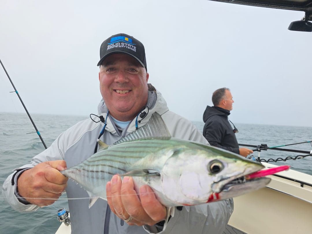 Atlantic Bonito caught by Get Tight Sport Fishing Captain Brian Coombs, September 2025
