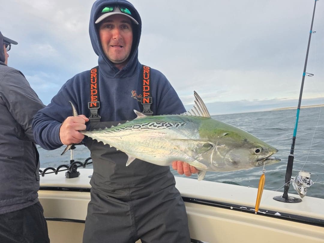 False Albacore caught by Get Tight Sport Fishing Captain Brian Coombs, September 2025