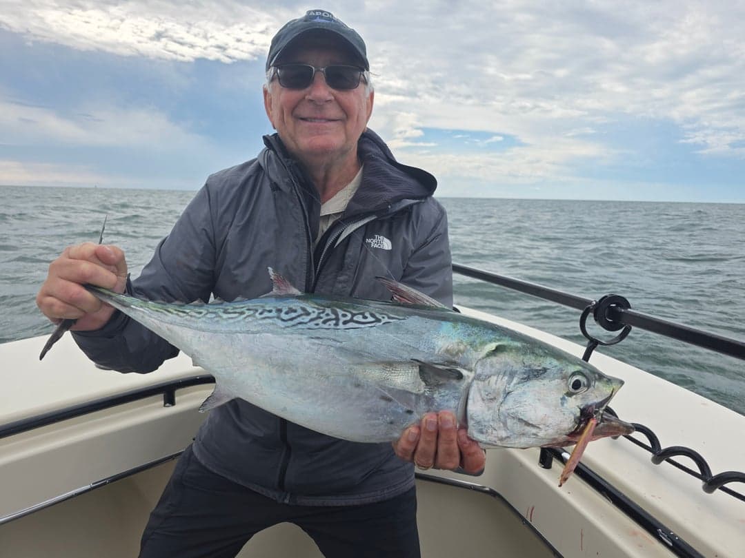 False Albacore caught by Get Tight Sport Fishing Captain Brian Coombs, September 2025