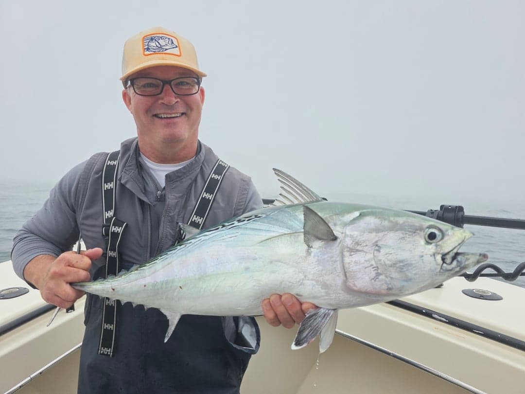 False Albacore caught by Get Tight Sport Fishing Captain Brian Coombs, September 2025