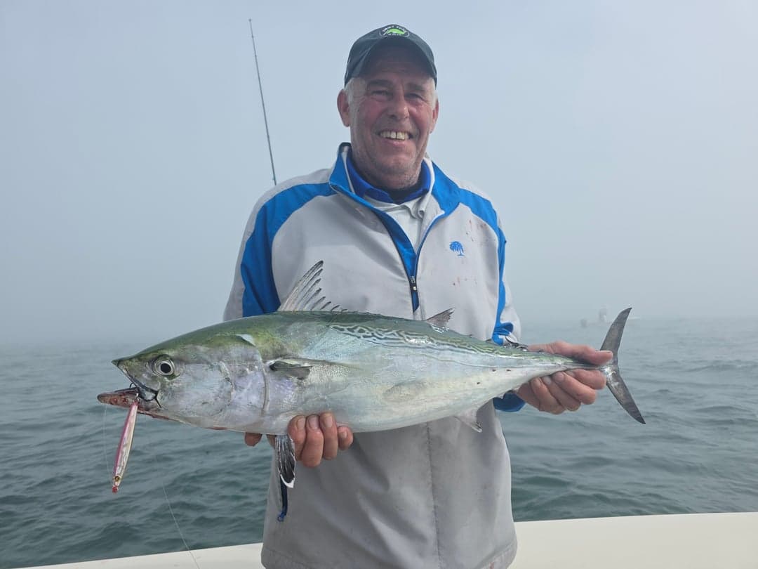 False Albacore caught by Get Tight Sport Fishing Captain Brian Coombs, September 2025