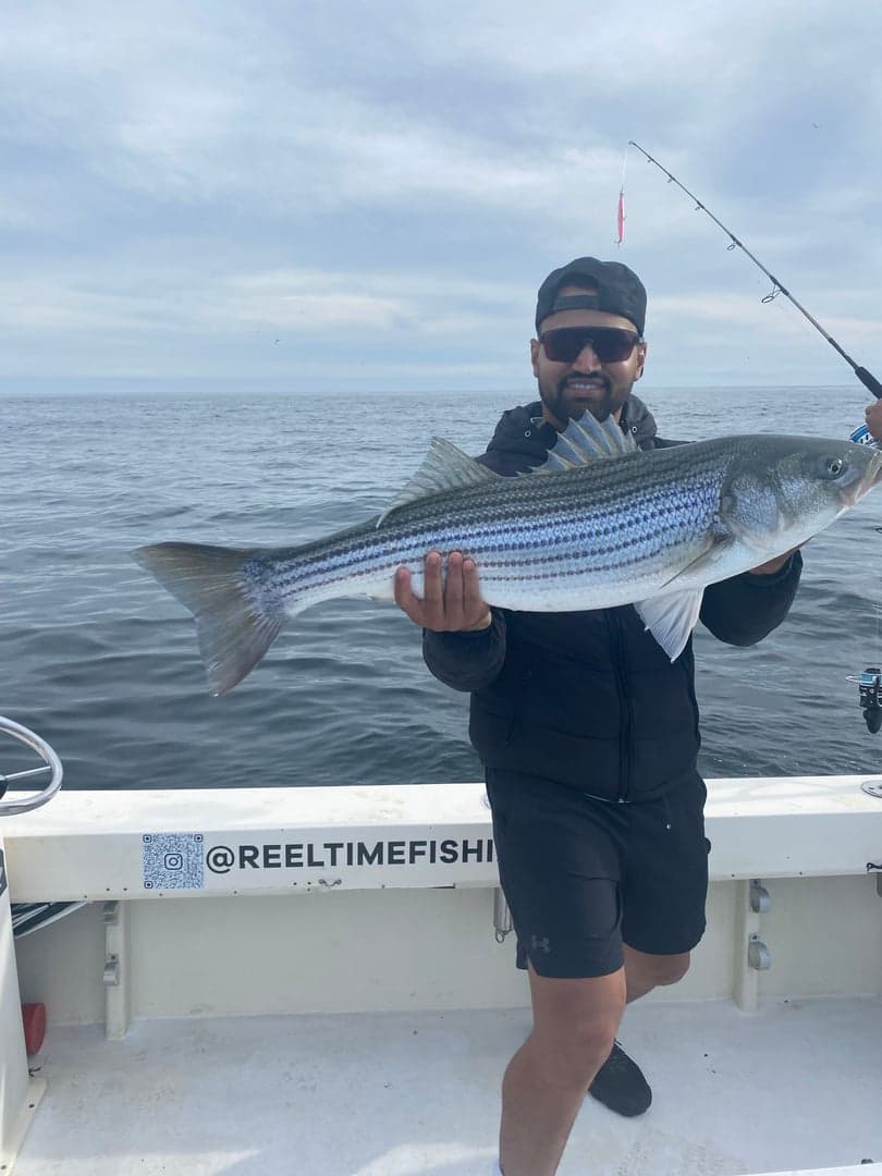 Striped Bass caught by Reel time fishing cape cod, September 2025