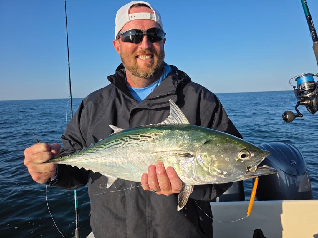 False Albacore caught by Get Tight Sport Fishing Captain Brian Coombs, September 2025