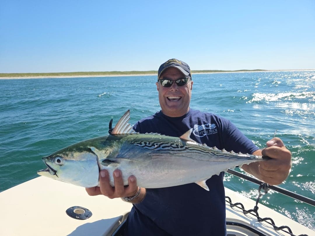 False Albacore caught by Get Tight Sport Fishing Captain Brian Coombs, September 2025