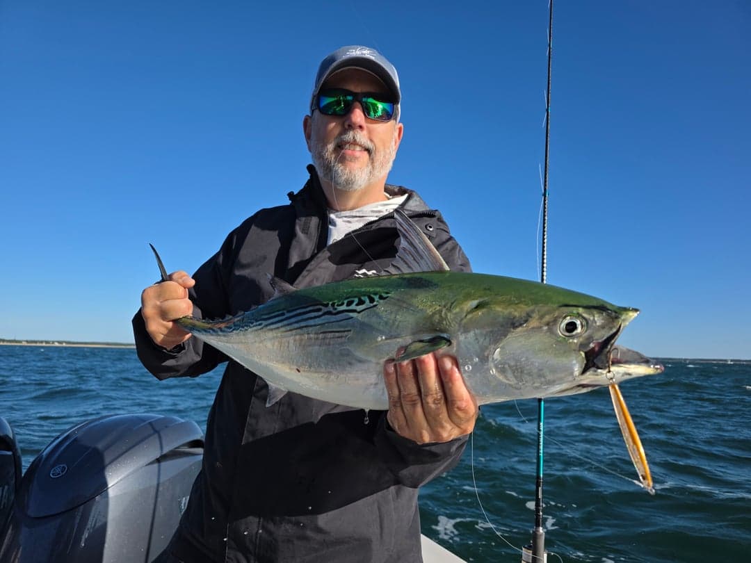 False Albacore caught by Get Tight Sport Fishing Captain Brian Coombs, September 2025