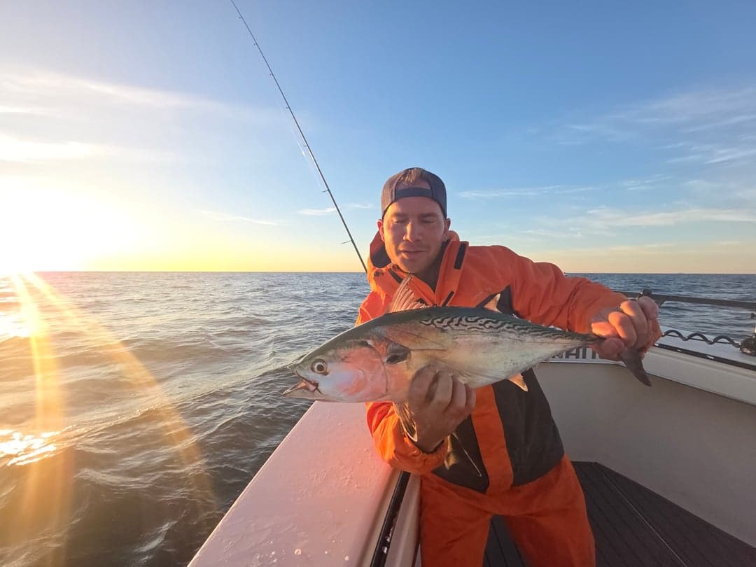 False Albacore caught by Get Tight Sport Fishing Captain Brian Coombs, September 2025