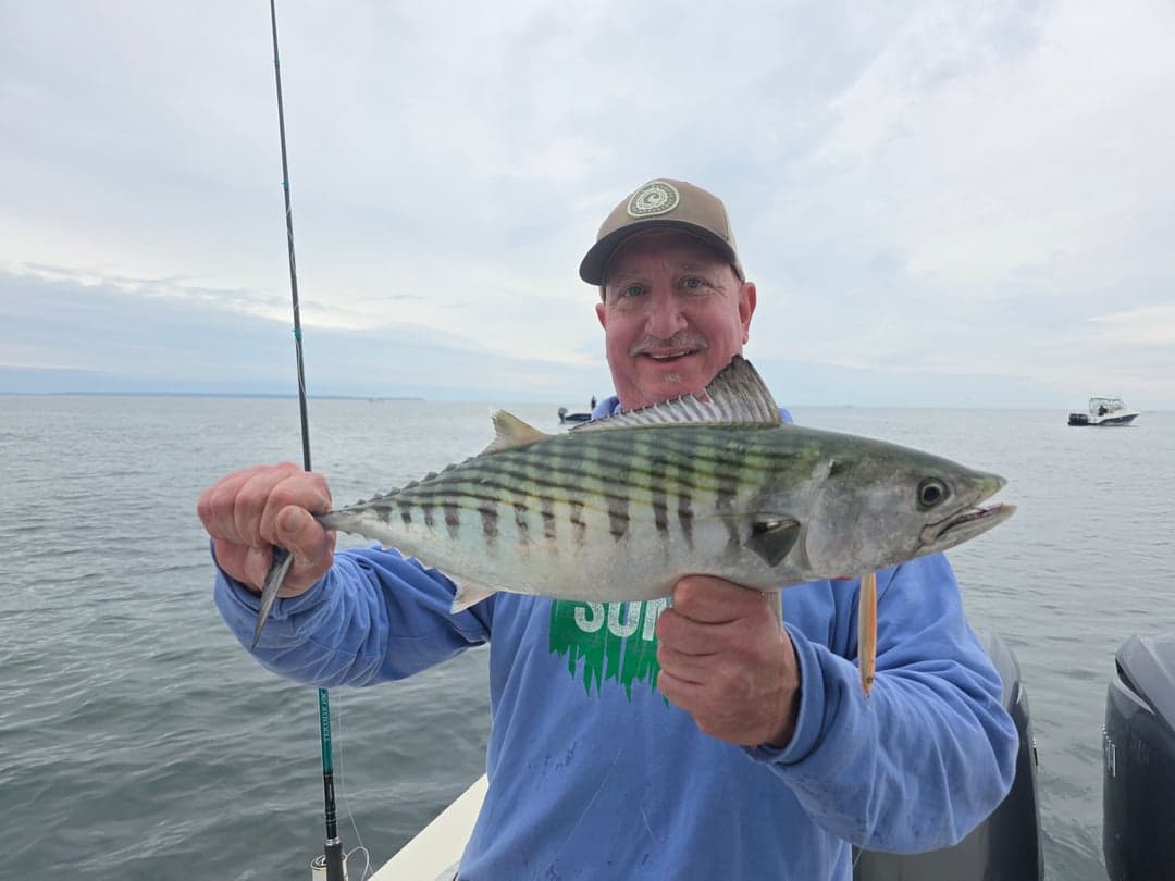 Atlantic Bonito caught by Get Tight Sport Fishing Captain Brian Coombs, September 2025