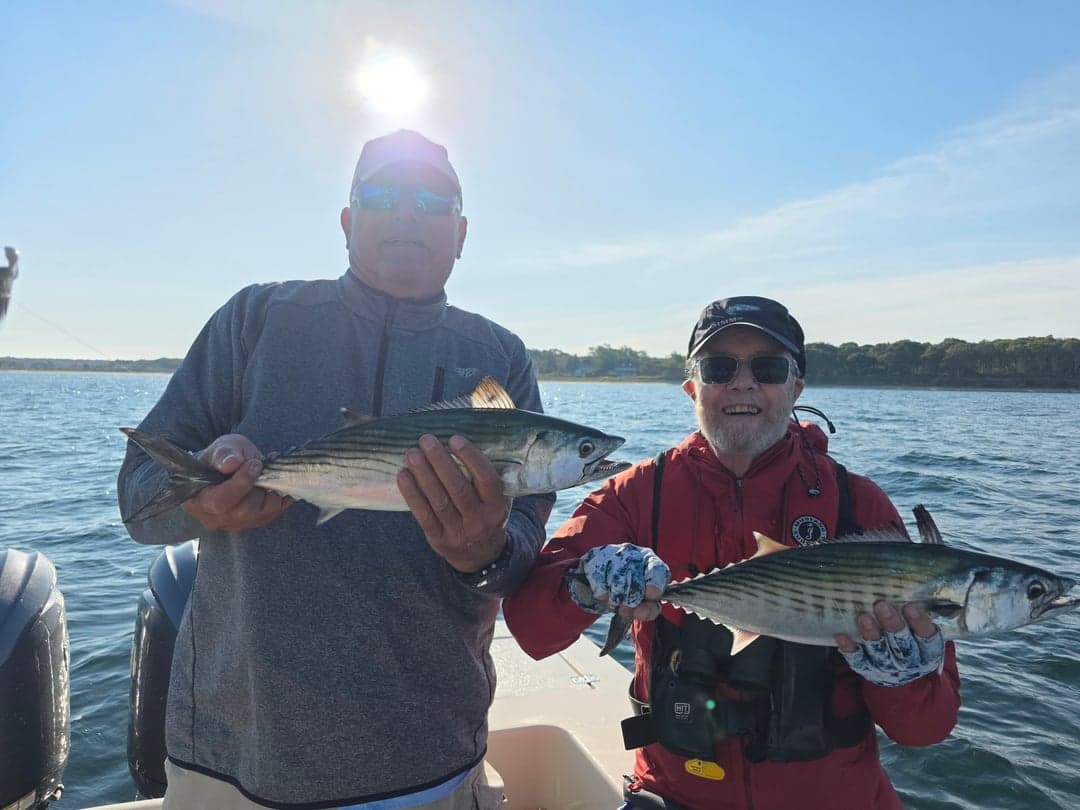 Atlantic Bonito caught by Get Tight Sport Fishing Captain Brian Coombs, September 2025