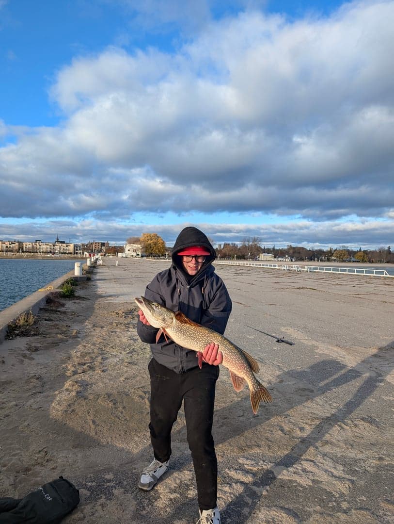 Northern Pike caught by Grayson Mcdonald, November 2025